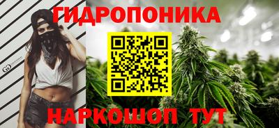 apvp Камышлов