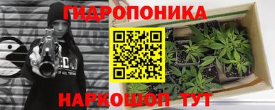 apvp Камышлов
