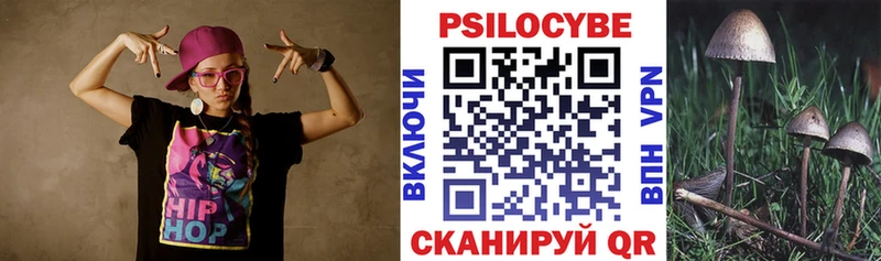 Псилоцибиновые грибы Psilocybe  где найти наркотики  Электросталь 
