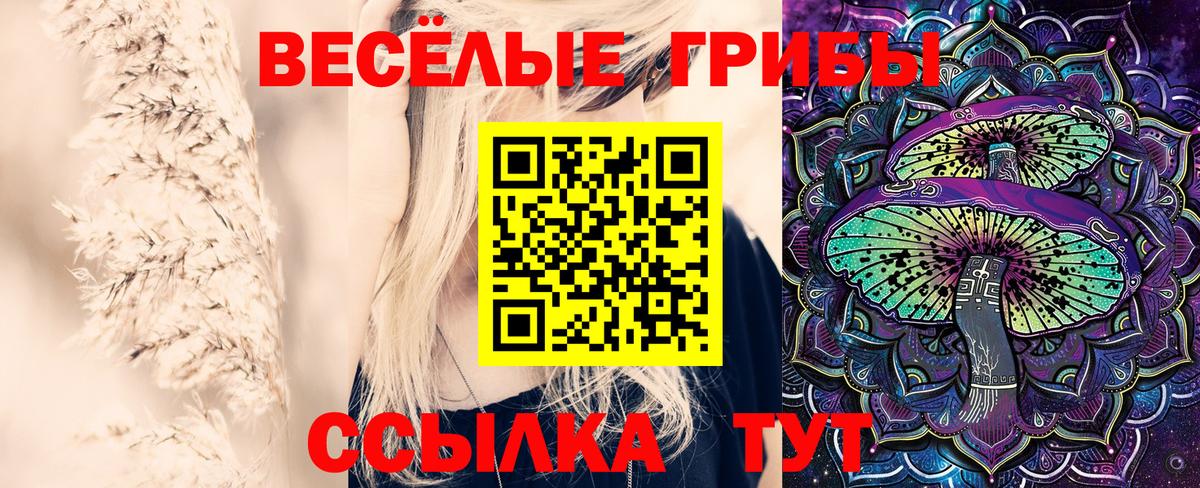 Псилоцибиновые грибы Cubensis  Вход с VPN  Электросталь 